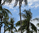 Villa Koh Samui